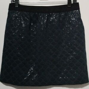 Ann Taylor Loft Petite skirt size 6p
